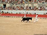 COURSE CAMARGUAISE Immagine 421